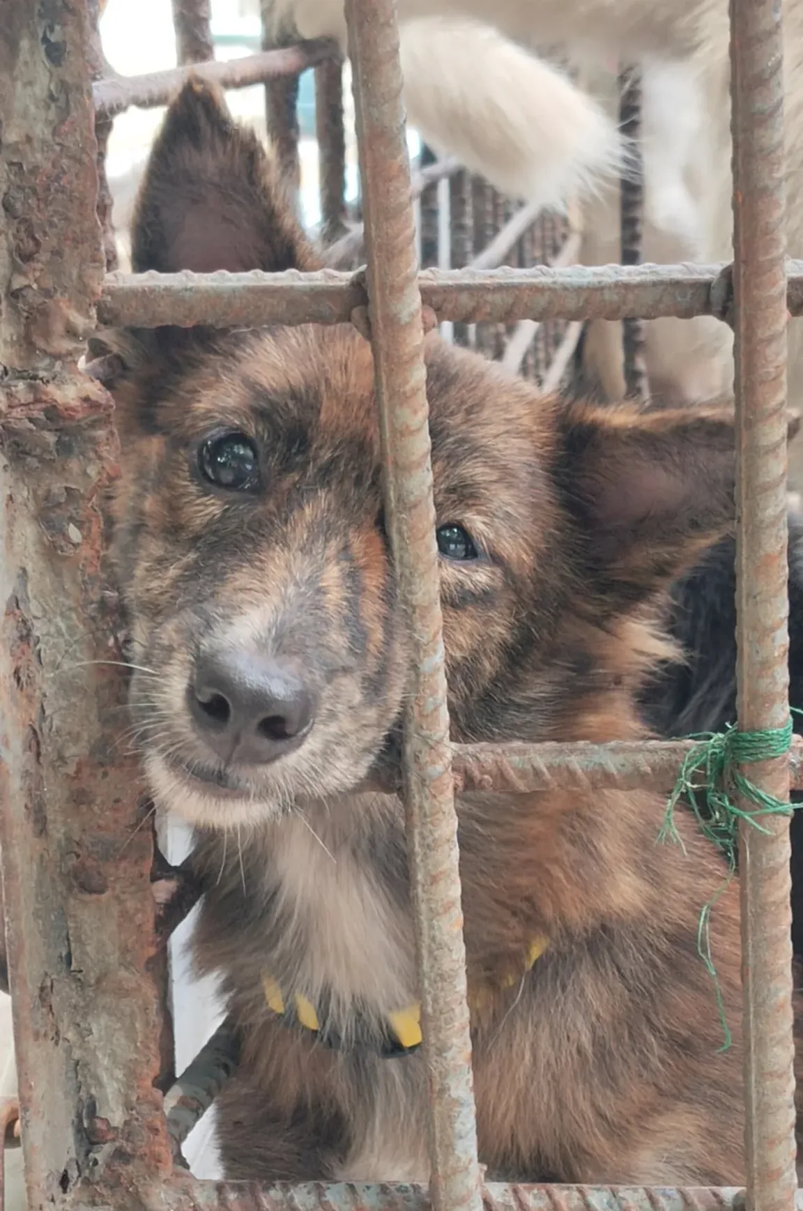 499688709_1017045953866028_3095226332426859498_n