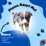 Ormoc Stays Oasis - Blanca