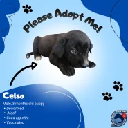 Ormoc Stays Oasis - Celso