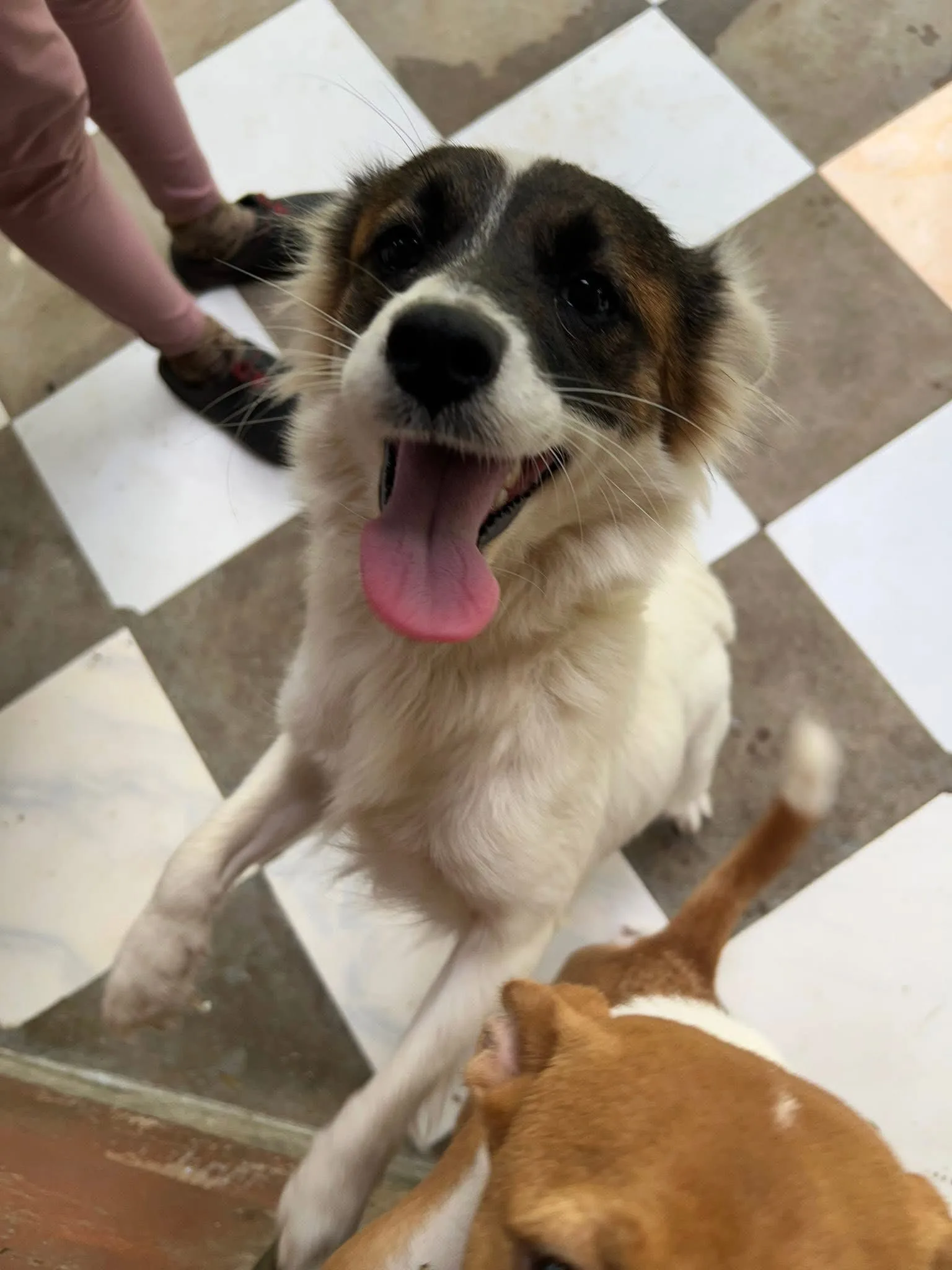 515893474_1057132283190728_489289406596096004_n